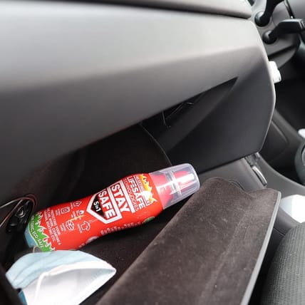 You Need a Car Emergency Kit. Here's What To Put in It 9 A Girls Guide To Cars | You Need A Car Emergency Kit. Here'S What To Put In It - Car Emergency Kit Fire Extinguisher Amazon Jill