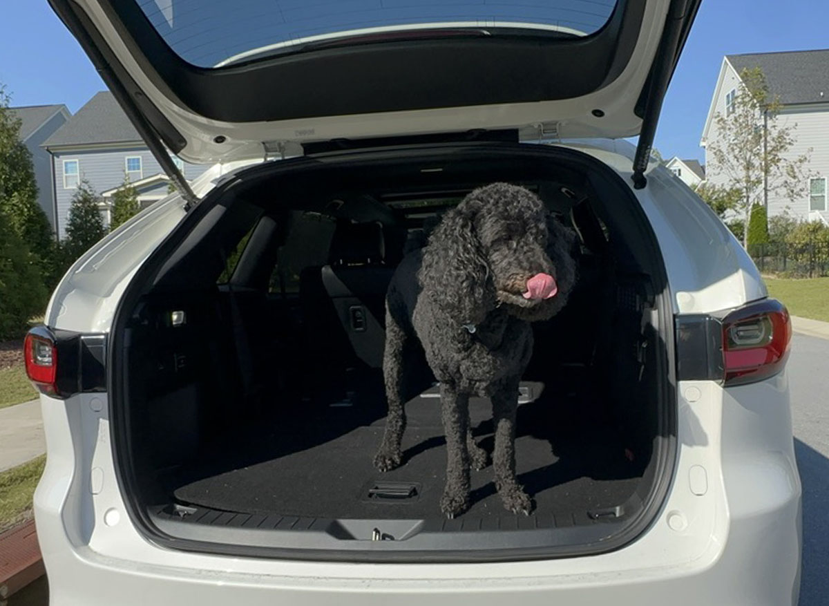 Stylish Sophistication: 2024 Mazda CX-90 PHEV Premium Plus Review 8 My Best Friend'S Dog Jumped Right In While I Was Filming. He Approves! Photo: Jana Askeland