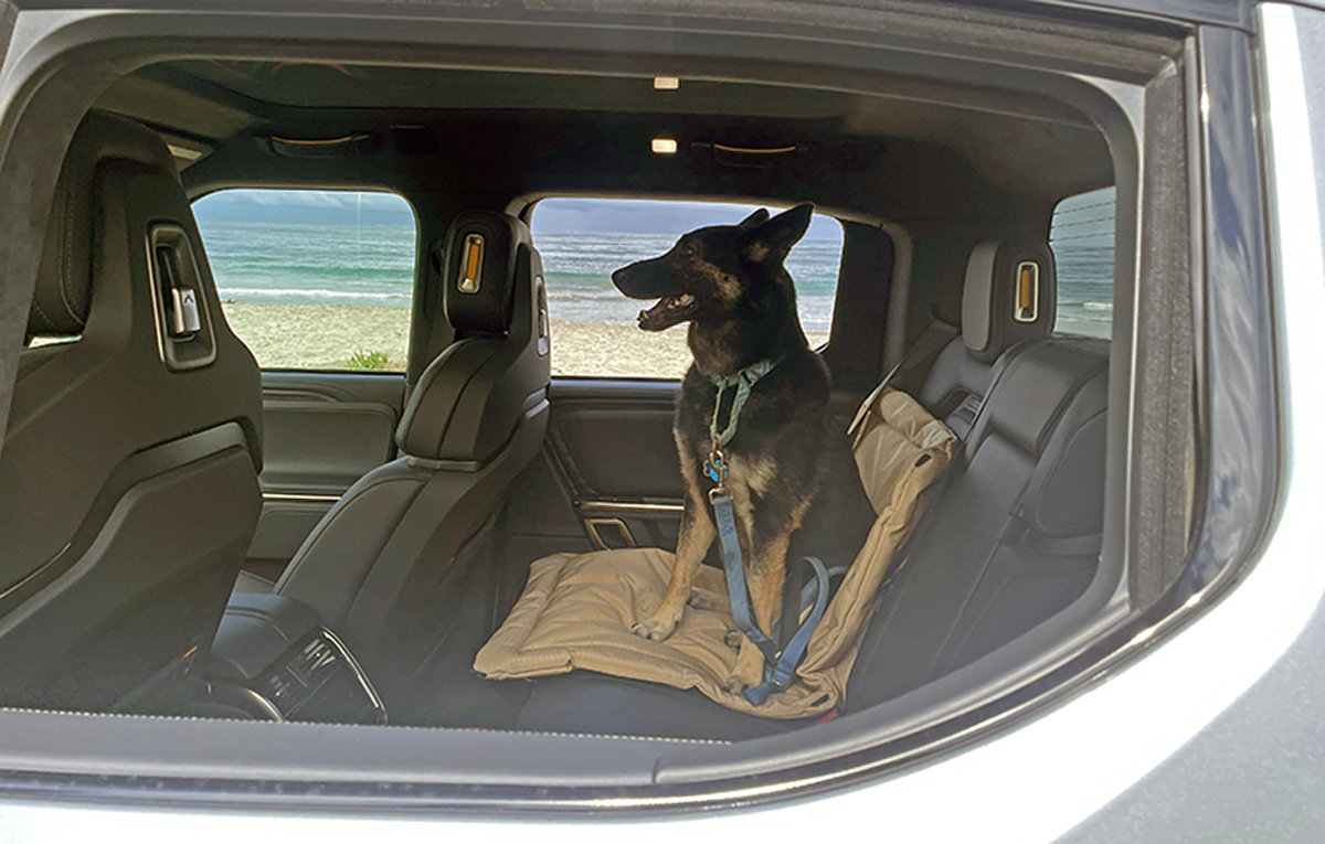 You Need a Car Emergency Kit. Here's What To Put in It 12 Rivian'S Cabin Climate Control Keeps Pets Safe And Comfortable In Cab. Photo: Kymri Wilt