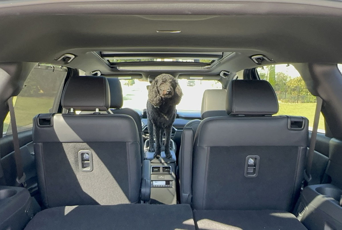 Stylish Sophistication: 2024 Mazda CX-90 PHEV Premium Plus Review 4 The Mazda Cx-90 Is Loved By All Kinds Of Drivers